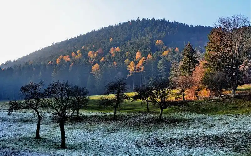 环境优美,乡村风情,淳朴,风景田园生活 壁纸图片