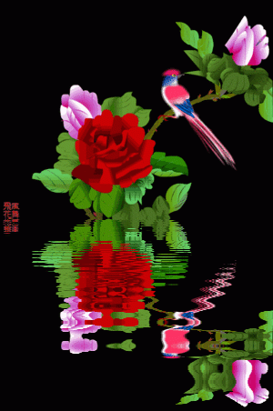 300_452竖版 竖屏gif 动态图 动图