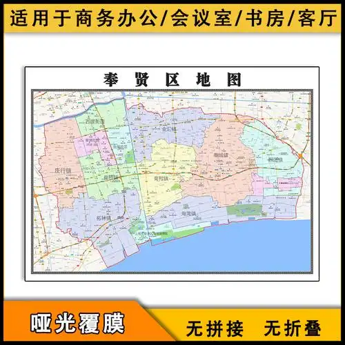 奉贤区地图批零1.1米图片素材上海市2022版行政信息分布设计素材