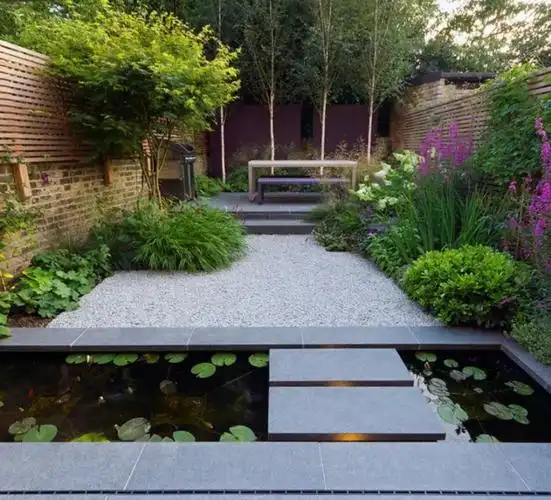 庭院的一汪水,消解心头的暑意