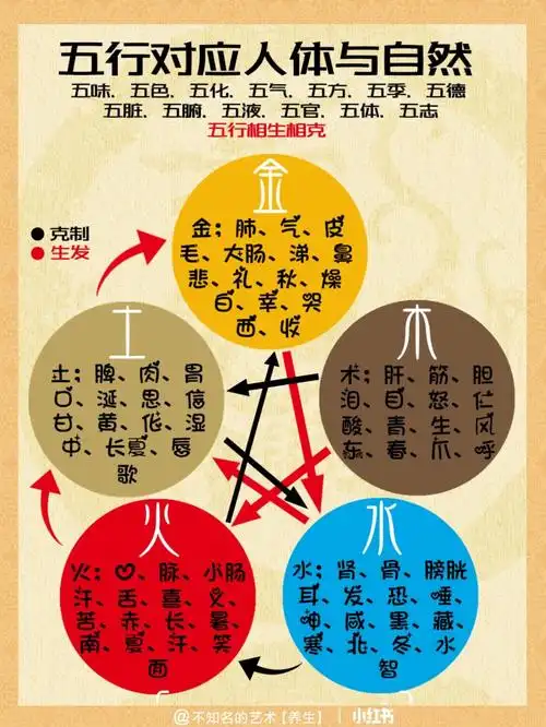 五行相生相克!运用五行养生之道!