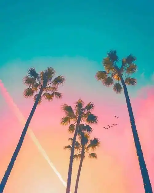 微信背景图这次的背景图比较成熟