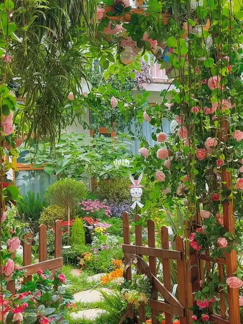 住进丽江古城种满鲜花的爱丽丝花园民宿