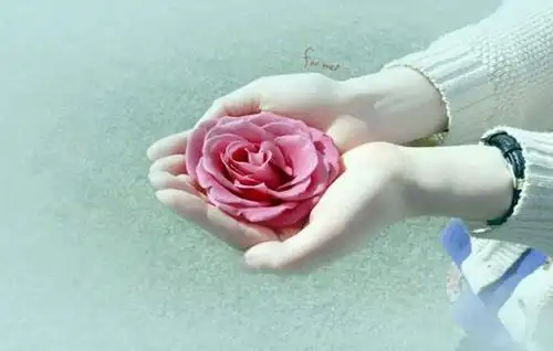 唯美爱心爱情素材爱心时钟的爱恋