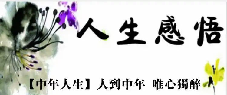 人到中年,随遇而安