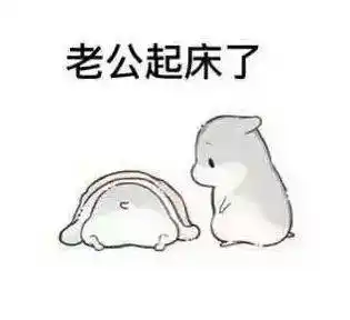 爱老公的表情包