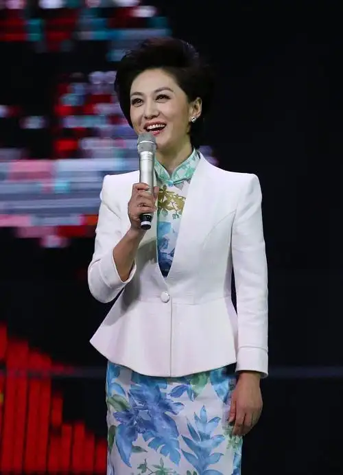 主持人海霞个人资料简历(央视著名主持人海霞介绍)-心语百科
