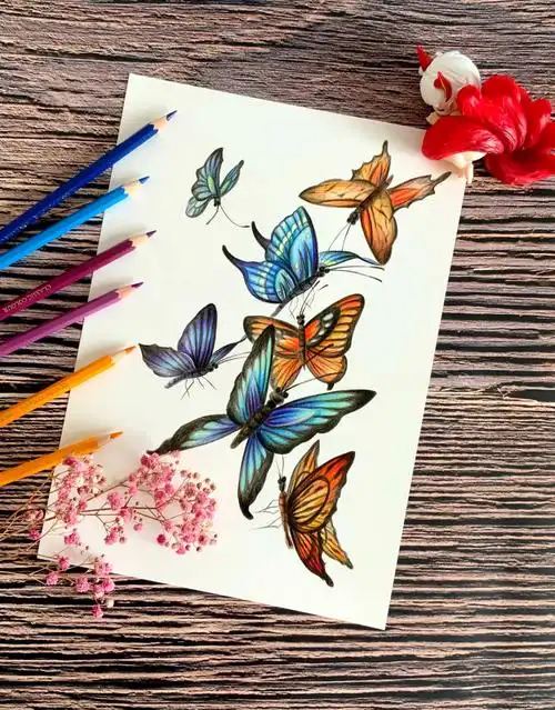 彩铅画  #蝴蝶  #彩铅画蝴蝶  #手绘蝴蝶