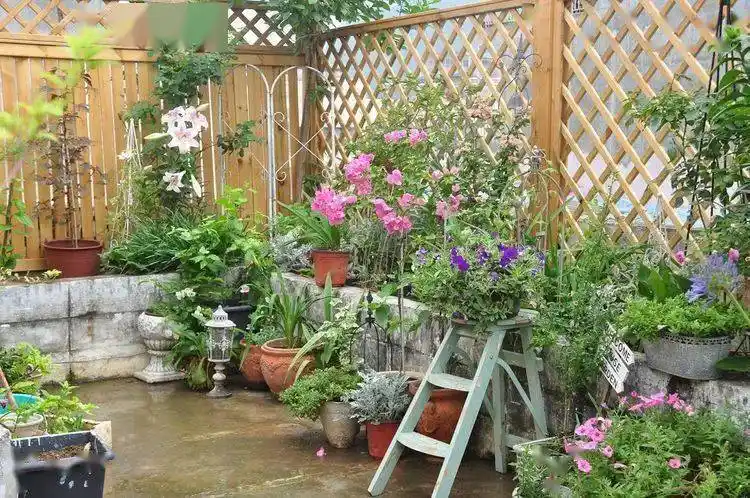 10年磨一园,她在自家楼顶打造出一座低维护的英式乡村风格花园.