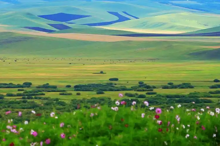 穿越大草原(三)