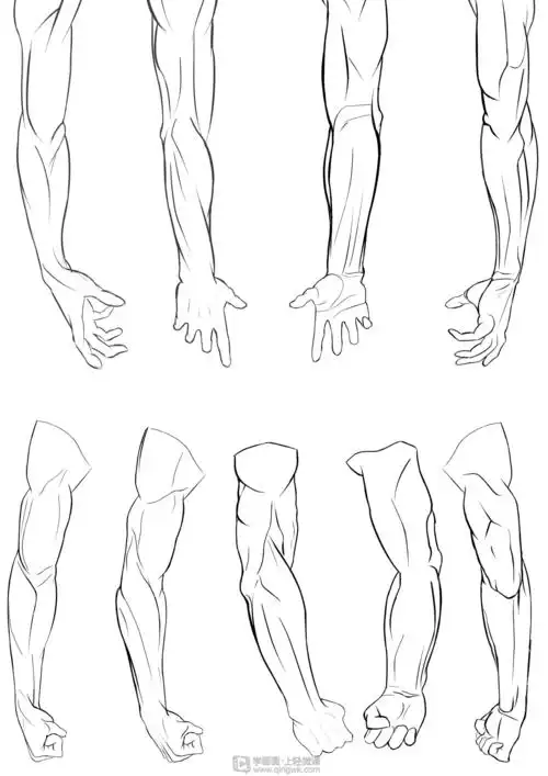 写生手臂—人体体块手臂肌肉的练习