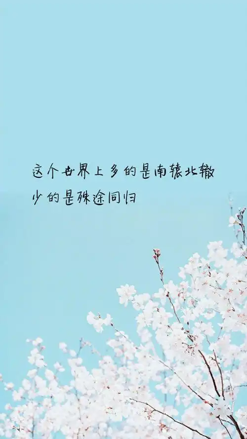 唯美文字语录图片手机壁纸