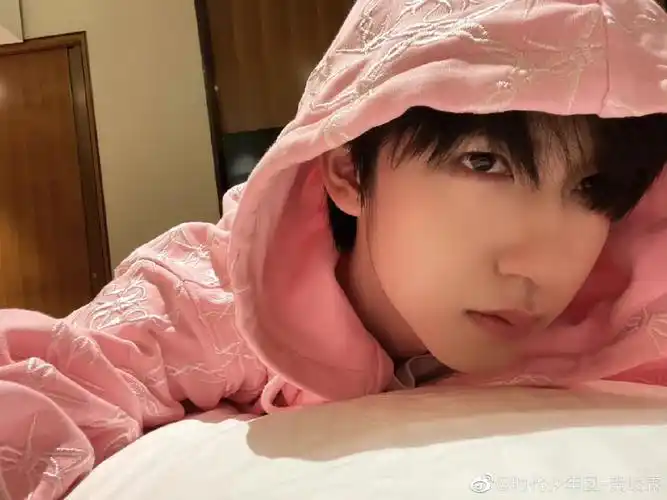 粉色猪猪宝,怎么能这么可爱啊,妈妈亲亲#tnt时代少年团  #贺峻霖