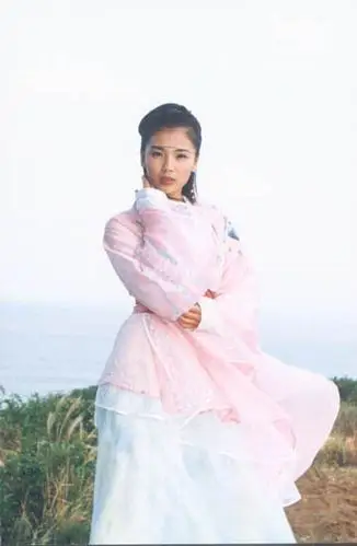 天龙八部刘涛 饰 阿朱