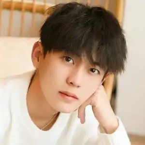 tb45031195淘宝假发男gay碎盖头超a奶狗锅盖头学生日常自然蓬松减龄