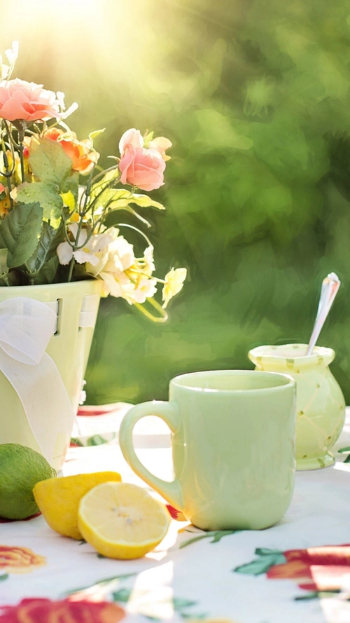 小清新简约手机h5背景