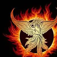 关于凤凰的头像_微信头像图片大全