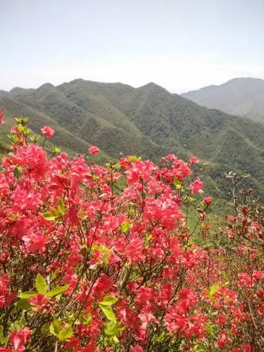 广寒寨四八门风景