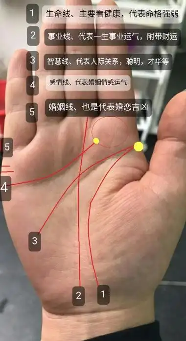 手相超简单1分钟学会自己看手相图文解说