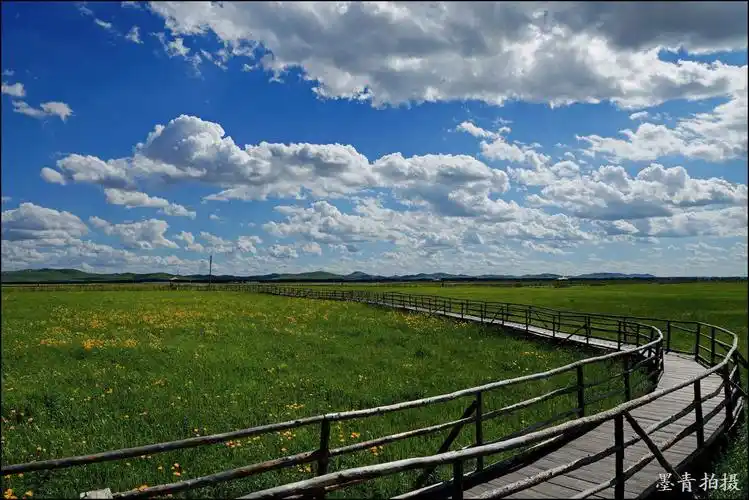 (原摄)河北张家口9-沽源-五花草甸 - 墨青拍摄 - 墨青拍摄