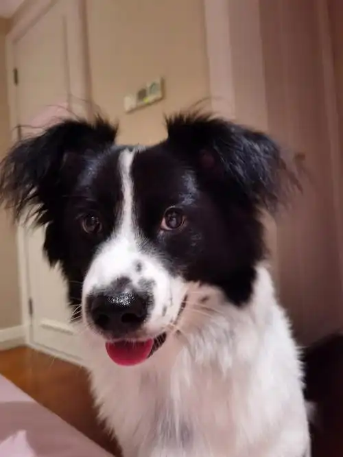 倒序,开头是6个月大的颜值,大人既视感4-5月,颜值蹦的厉害,很担心变成