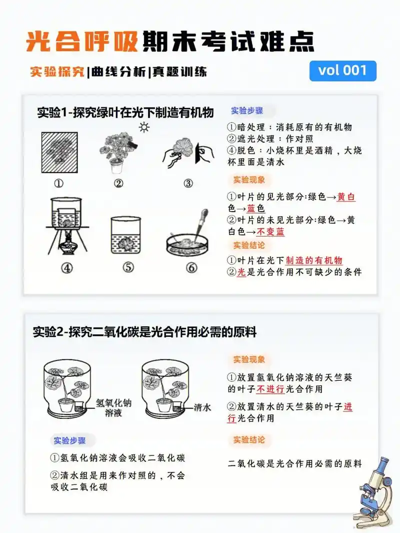 初一生物|光合作用&呼吸作用|期末难点突破|||适合人群:七 - 抖音
