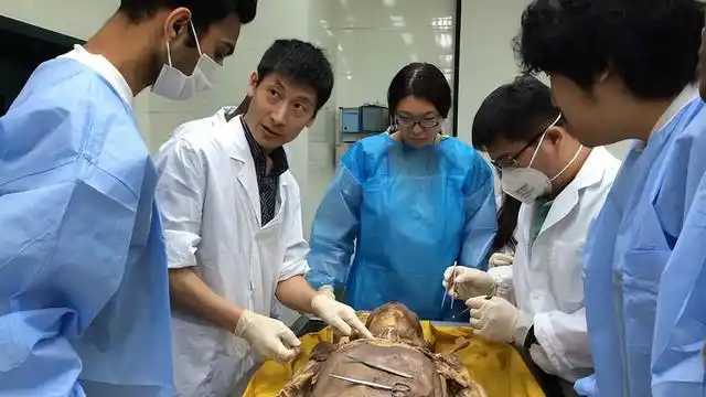 2005年夫妻两人捐献遗体,14年后"重逢",两架白骨并排"站立"