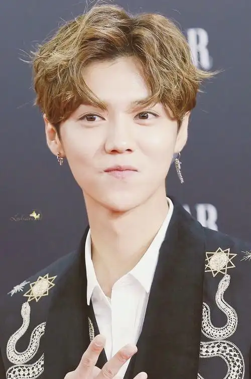 呆萌傻狍子 鹿晗 luhan #壁纸 #头像