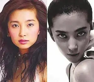 李冰冰整容对比图