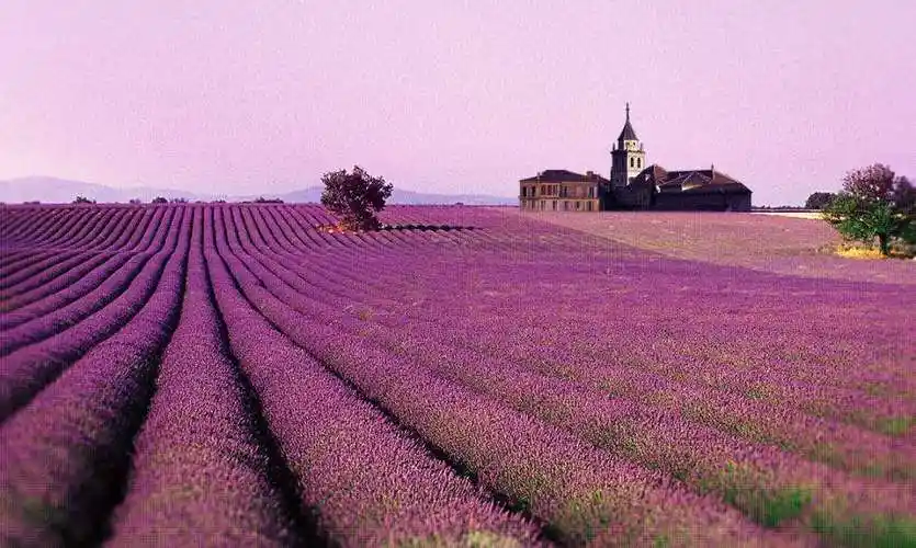 冬湿夏干的地中海气候