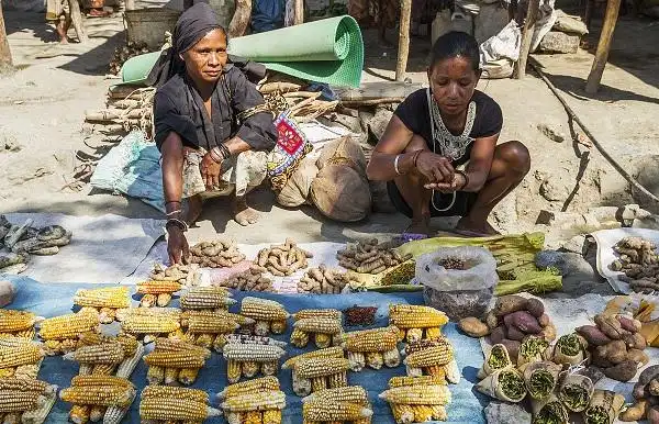 东帝汶风俗禁忌2