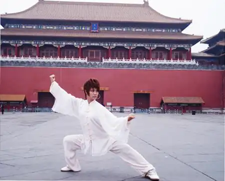 太极美女马畅新图1010