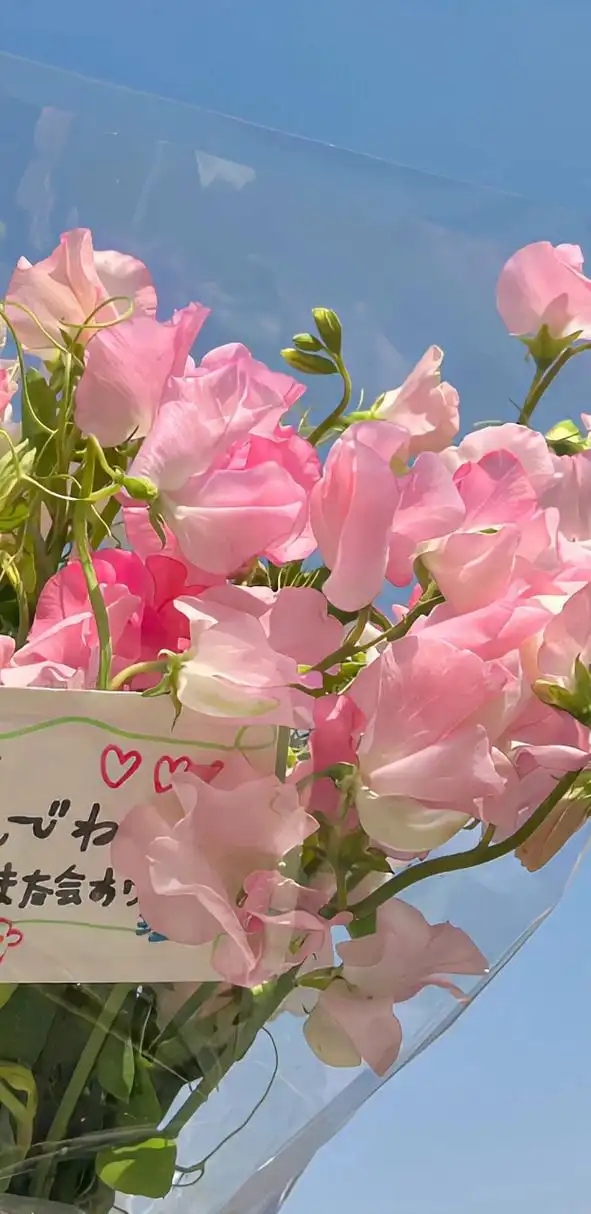 美美的粉色锁屏壁纸 通通换上! 676767