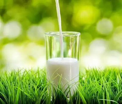 平肝去火就来一杯牛奶