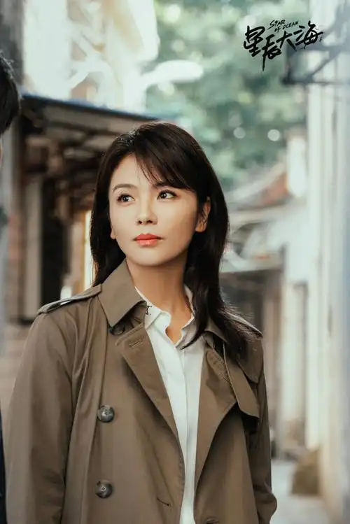 电视剧星辰大海