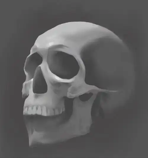 如何画一个骷髅头附步骤