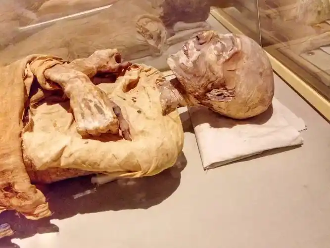 进入金字塔的人无一例外得病死去意外发现木乃伊千年不腐