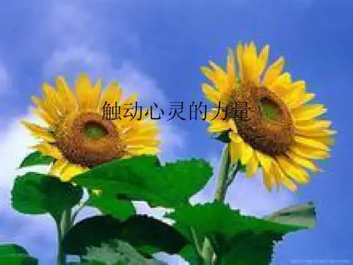 触动心灵的力量