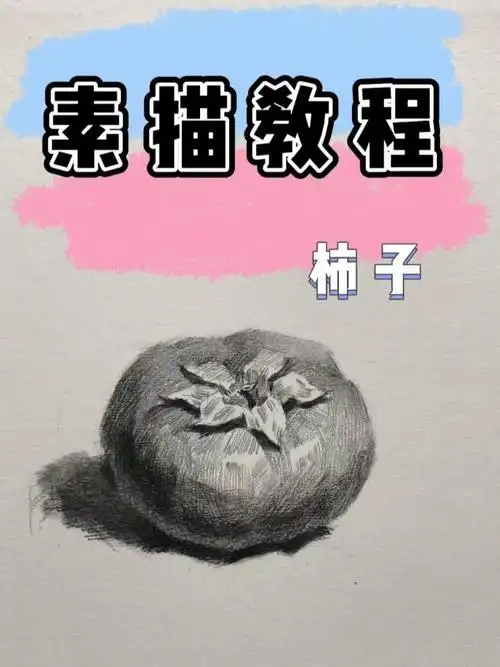 柿子素描教程