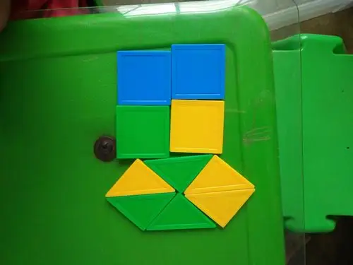 大班幼儿科学活动《有趣的拼图》