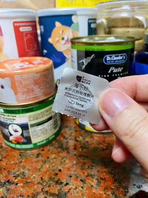 今天随机抓取楼下某位幸运的毛孩子喂内驱