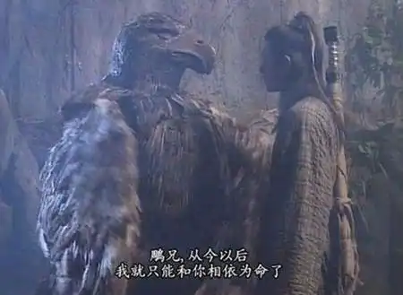 杨过断臂之后,甚至一度灰心丧气,要不是雕兄一边悉心照料,一边带他