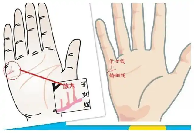 怎么看手相有几个孩子手相怎么看有几个孩子图解