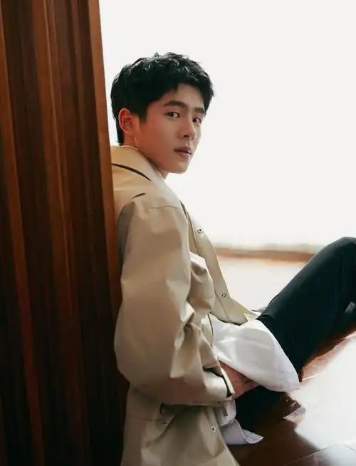 刘昊然浅色风衣帅气写真图片19