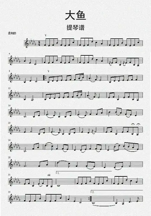 大鱼小提琴谱