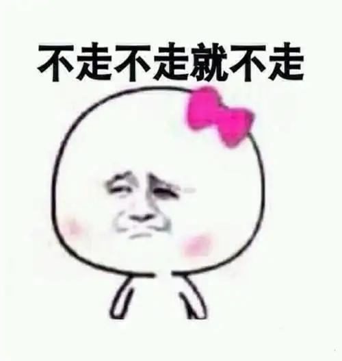 不走不走就不走
