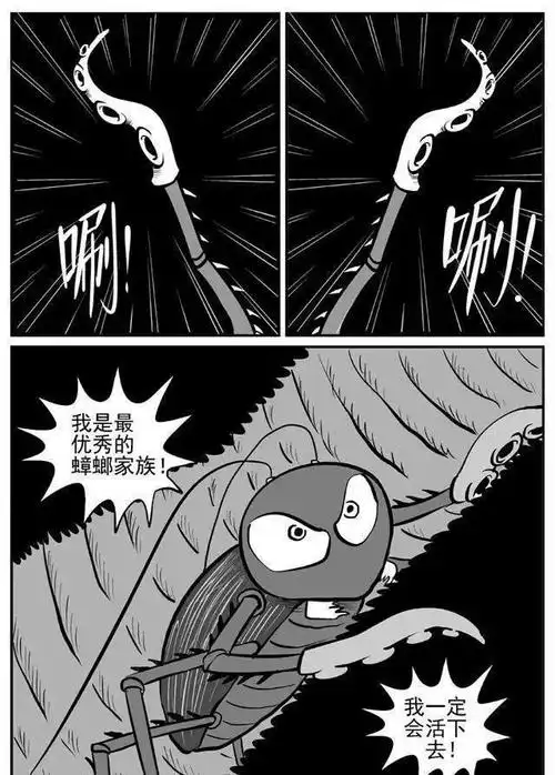 九成人不知道蟑螂天敌是啥屋子里放个它蟑螂就消失不见了