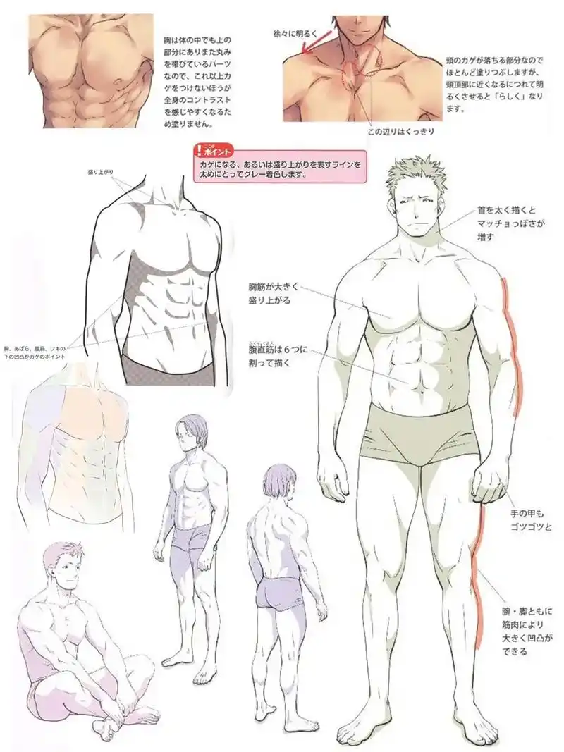 干货教程!教你画腹肌帅哥.挑战画帅哥,这样的腹肌,简直太帅了 - 抖音