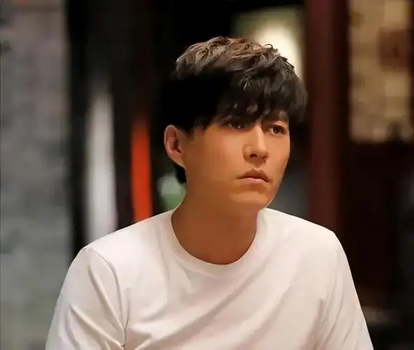 靳东个人资料简介(演员靳东都参演了哪些电视剧作品)