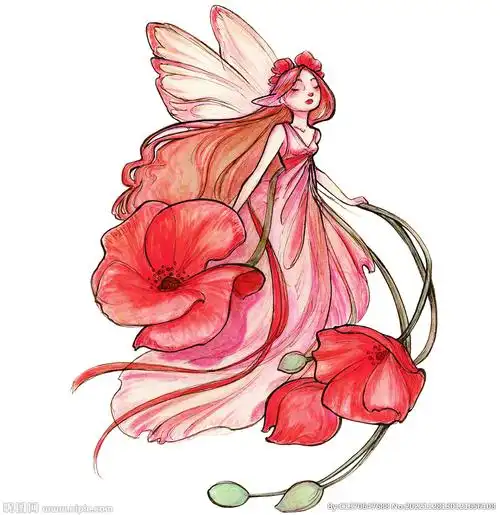 卡通 花仙子 大牌